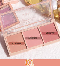 3-Color Blush Palette – Nude & Matte Shades for Natural Glow