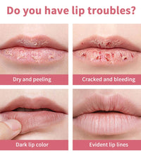 Black Honey Lipstick – Long-Lasting, Moisturizing Lip Plumper