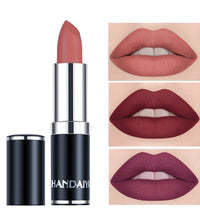 HANDIYAN 12-Color Matte Lipstick Set – Waterproof & Long-Lasting
