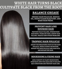 Black Ganoderma Hair Growth Essence – Scalp Cleanser & Follicle Nourishment