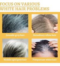 Black Ganoderma Hair Growth Essence – Scalp Cleanser & Follicle Nourishment