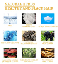 Black Ganoderma Hair Growth Essence – Scalp Cleanser & Follicle Nourishment